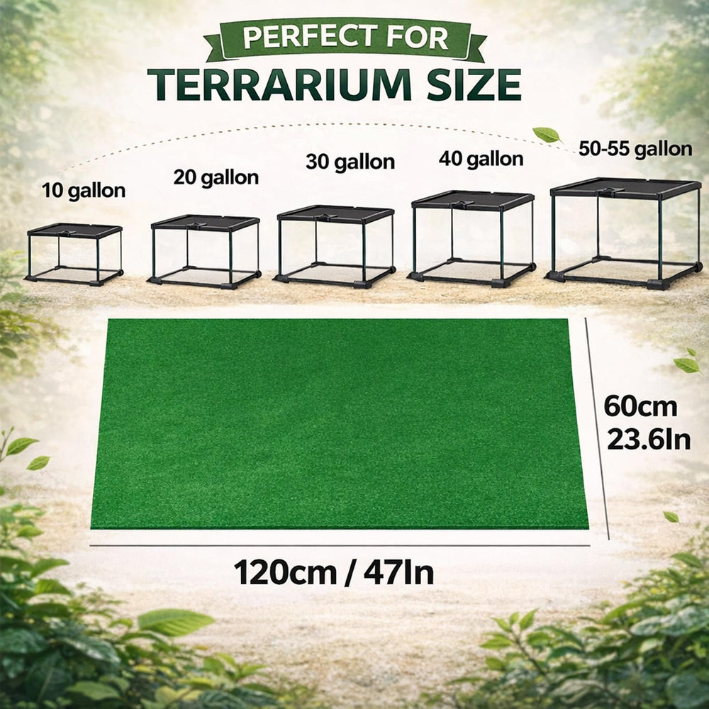 Mechpia tapis dans un terrarium décoré, améliore l'esthétique et confort