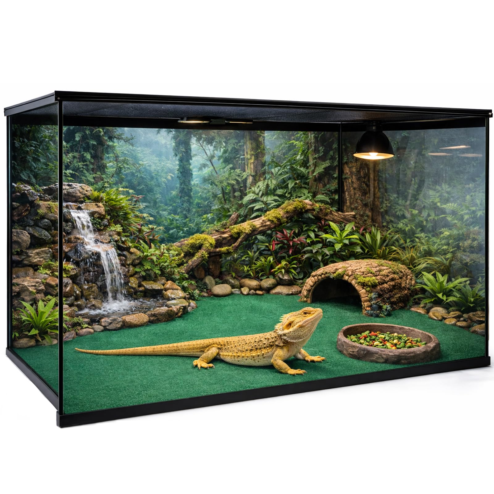 Mechpia tapis installé dans terrarium avec dragon barbu, surface sûre