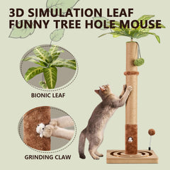 MECOOL balle suspendue en action stimule sauts et jeu du chat