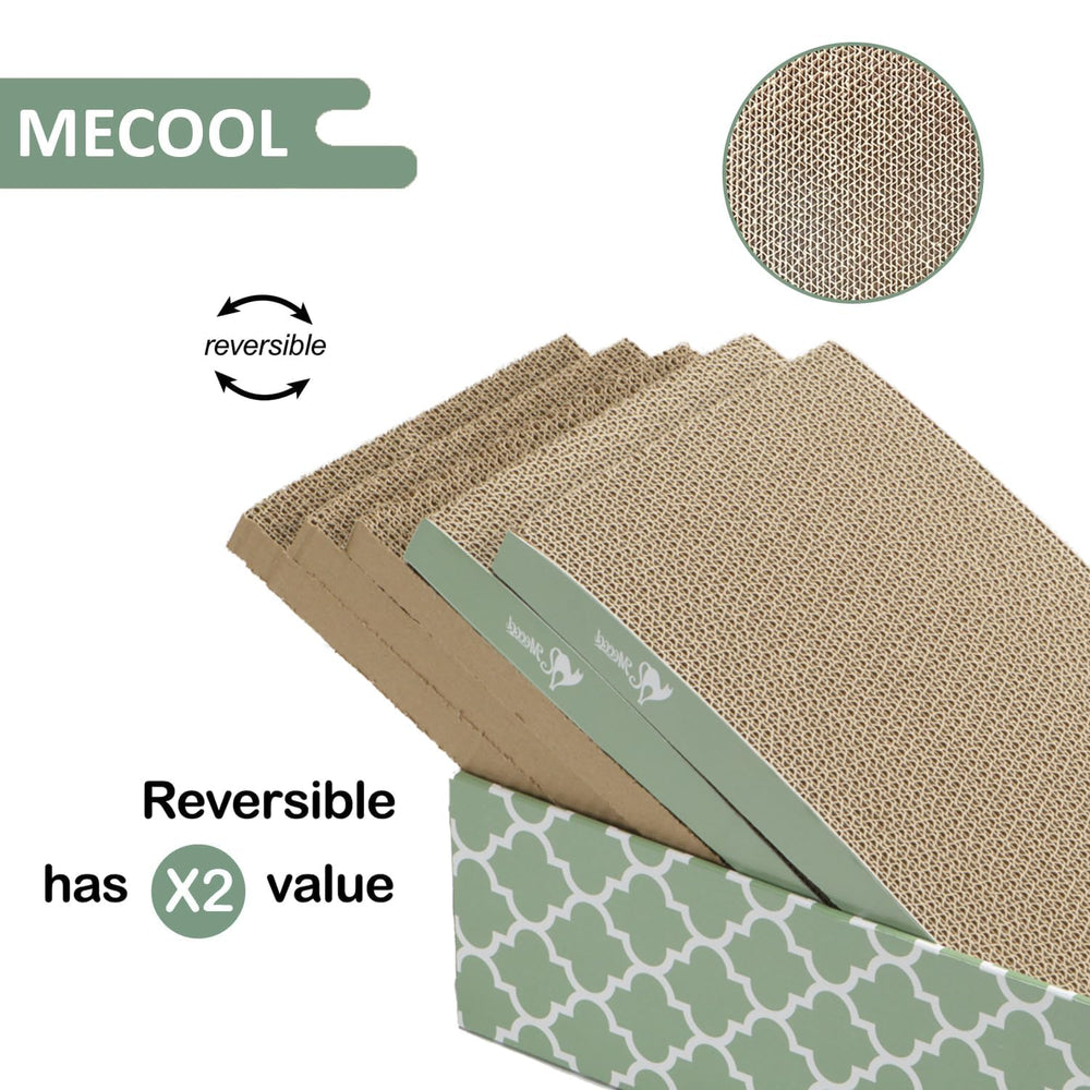 MECOOL chat allongé sur le coffret-lounge montrant confort et détente