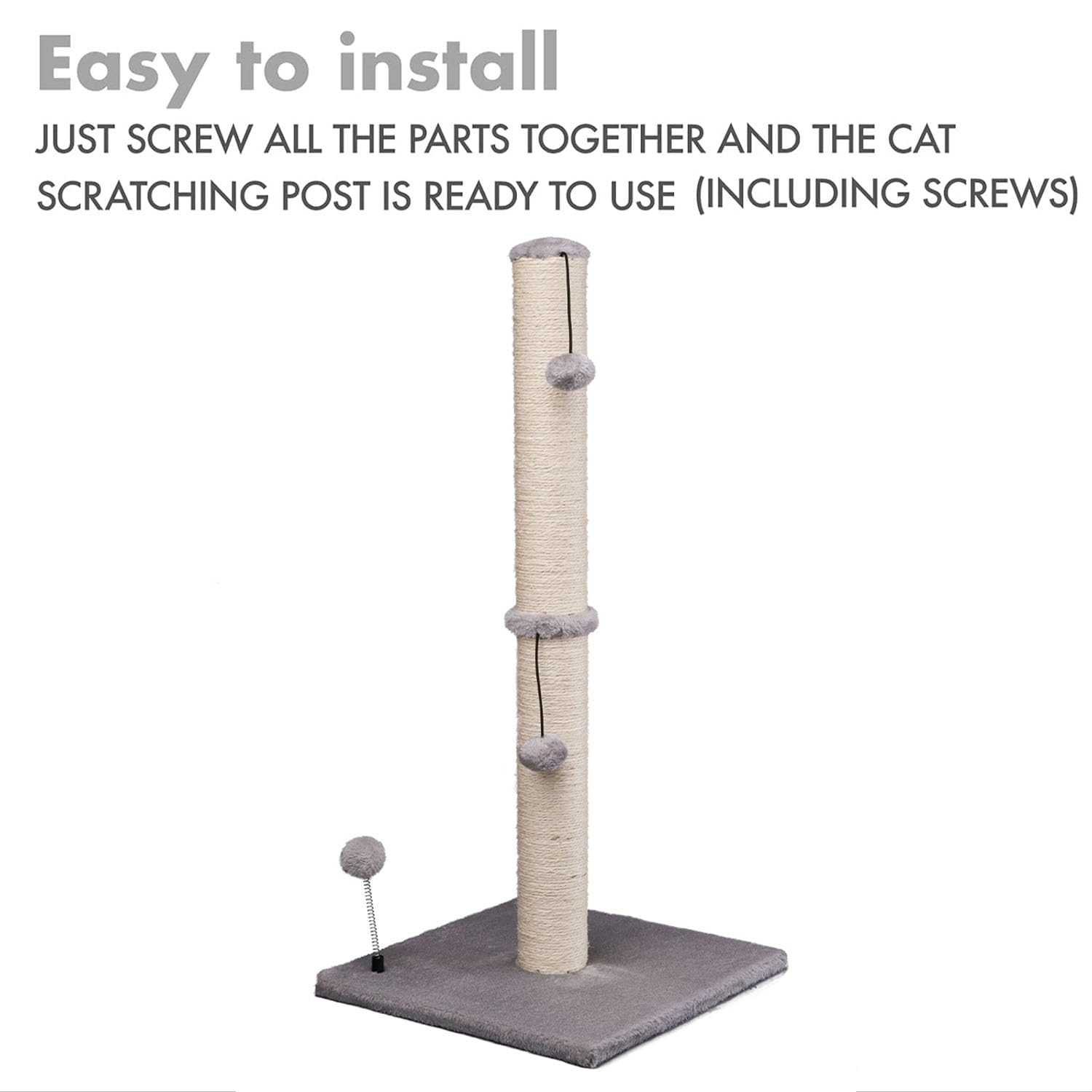MECOOL comparaison taille avec chat montrant hauteur adaptée et ergonomie