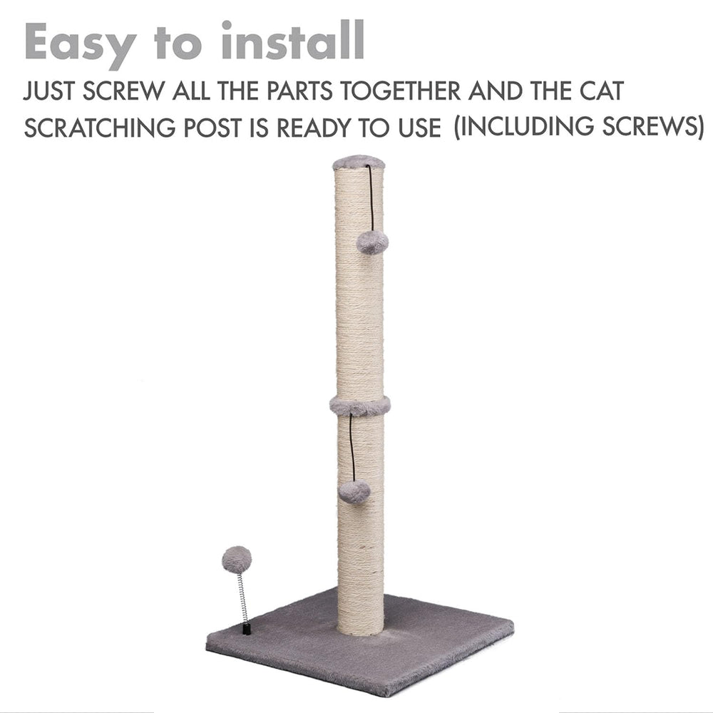 MECOOL comparaison taille avec chat montrant hauteur adaptée et ergonomie