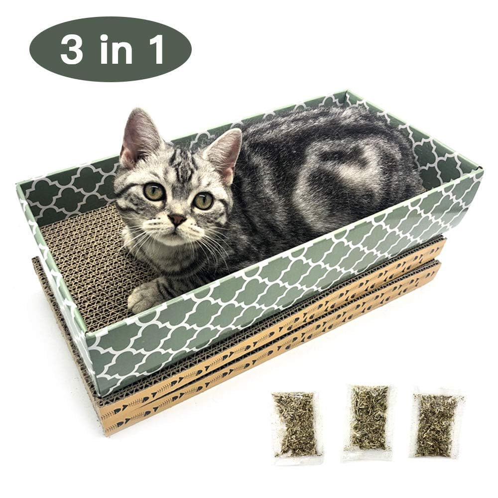 MECOOL sachets d’herbe à chat inclus attirant l’attention du félin