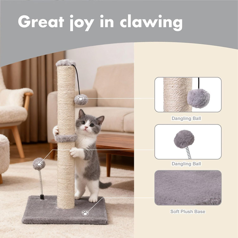 MECOOL gros plan sur le sisal naturel, résistance pour griffades
