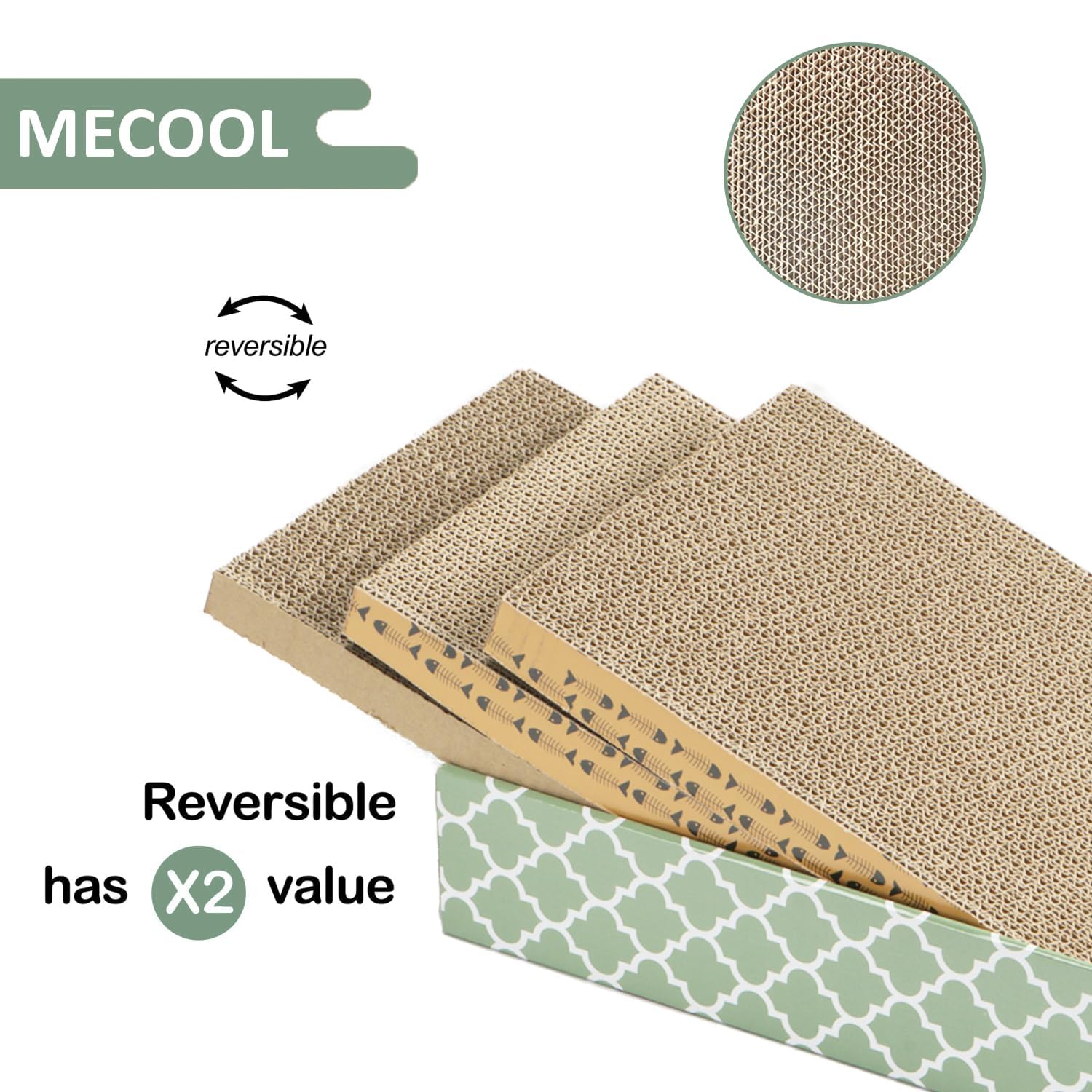 MECOOL comparaison de taille avec un chat pour visualiser l'échelle