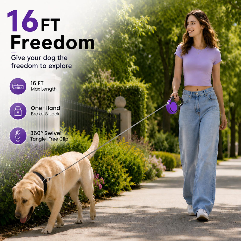Sangle Meegood 5 m en nylon déployée garantissant liberté contrôlée pour le chien