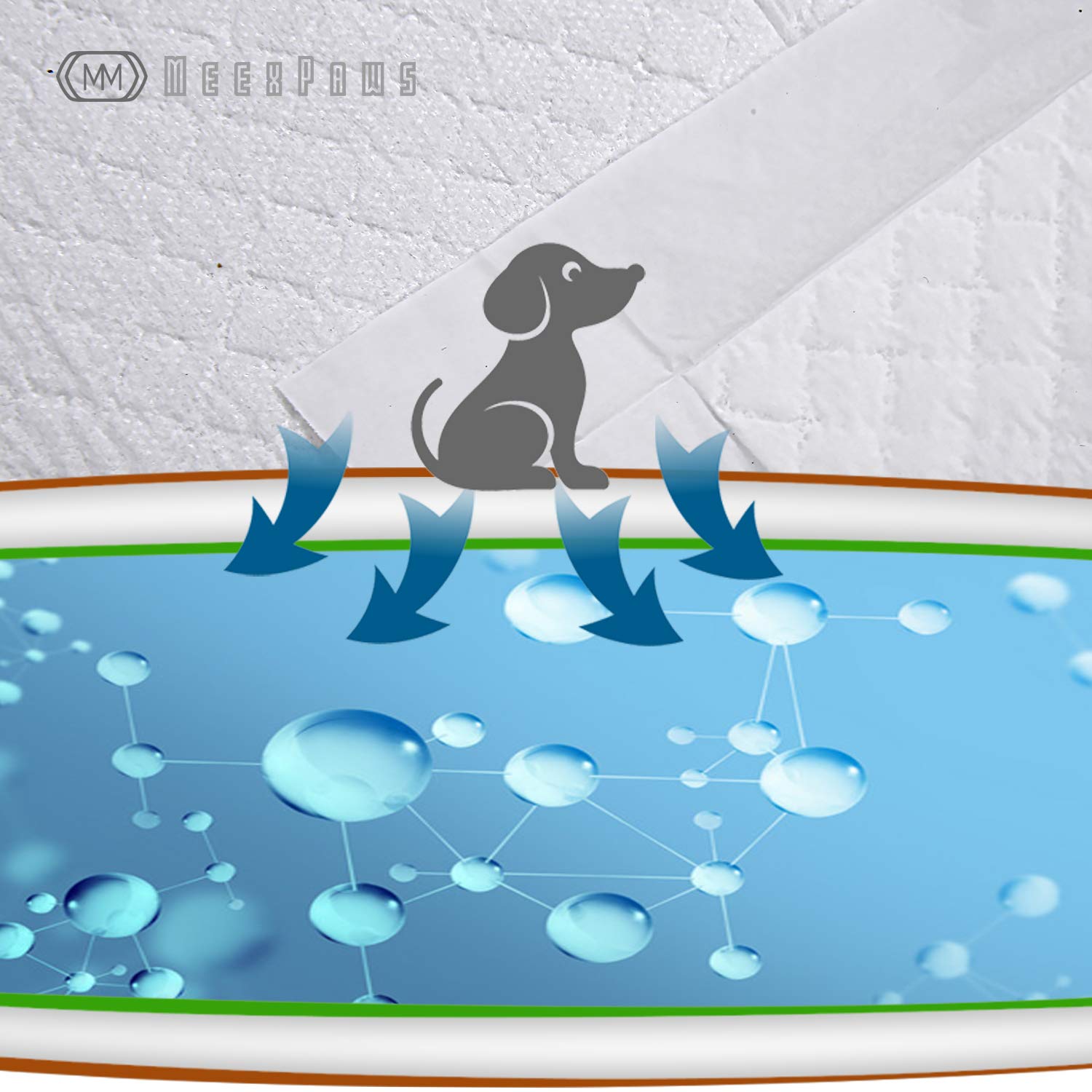 MEEXPAWS alèse à côté d’un chien pour montrer grande taille et couverture