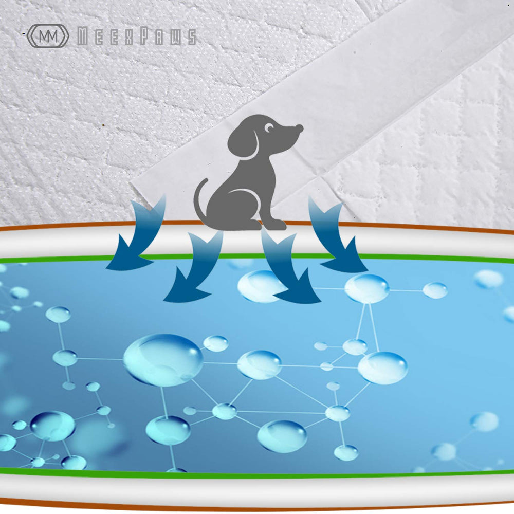 MEEXPAWS alèse à côté d’un chien pour montrer grande taille et couverture