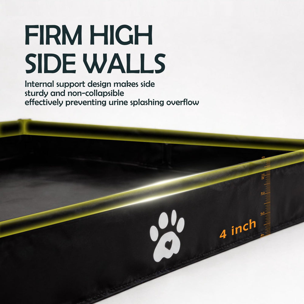 MEEXPAWS plateau en usage avec labrador, idéal pour entraînement intérieur