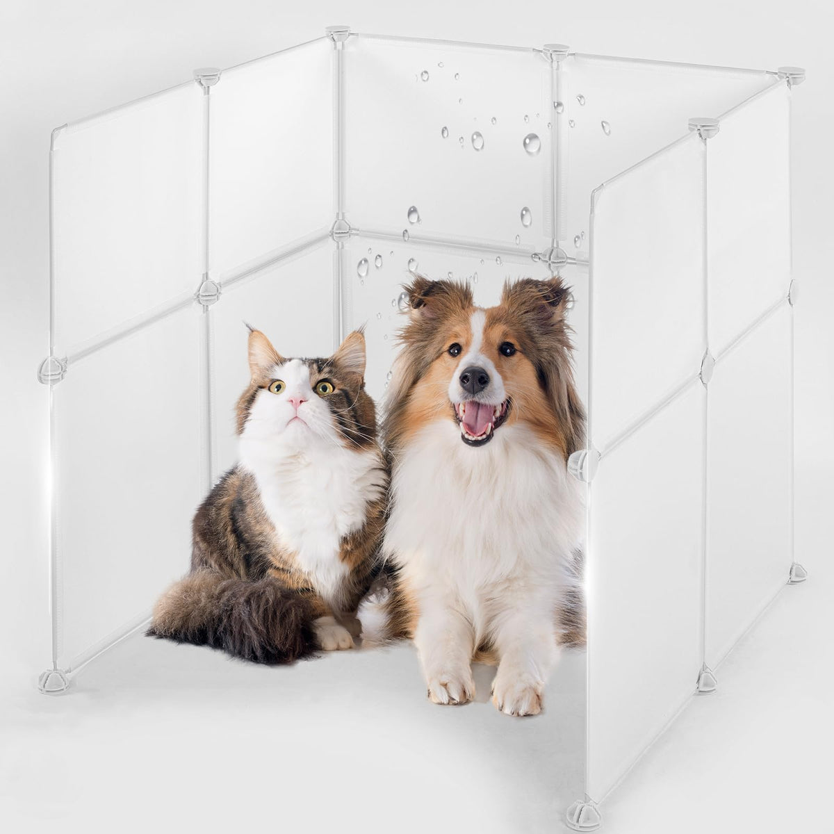 MEEXPAWS face avant de l'enceinte montrant la protection complète et la propreté
