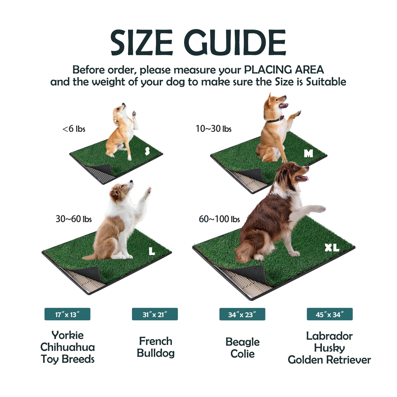 MEEXPAWS kit complet assemblé prouvant installation simple et gain de temps