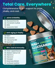 MEGPETS NUTRITION bouchée molle en gros plan appréciée par les chiens