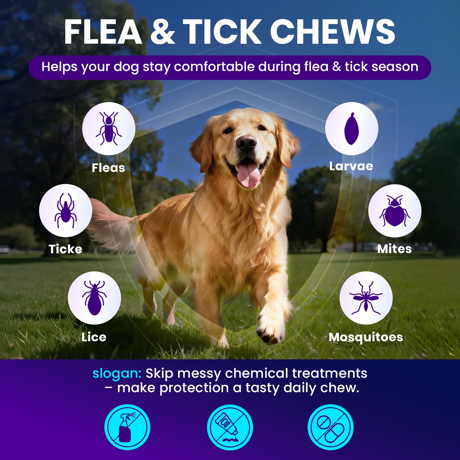 MEGPETS NUTRITION chew dans la main illustrant taille et facilité