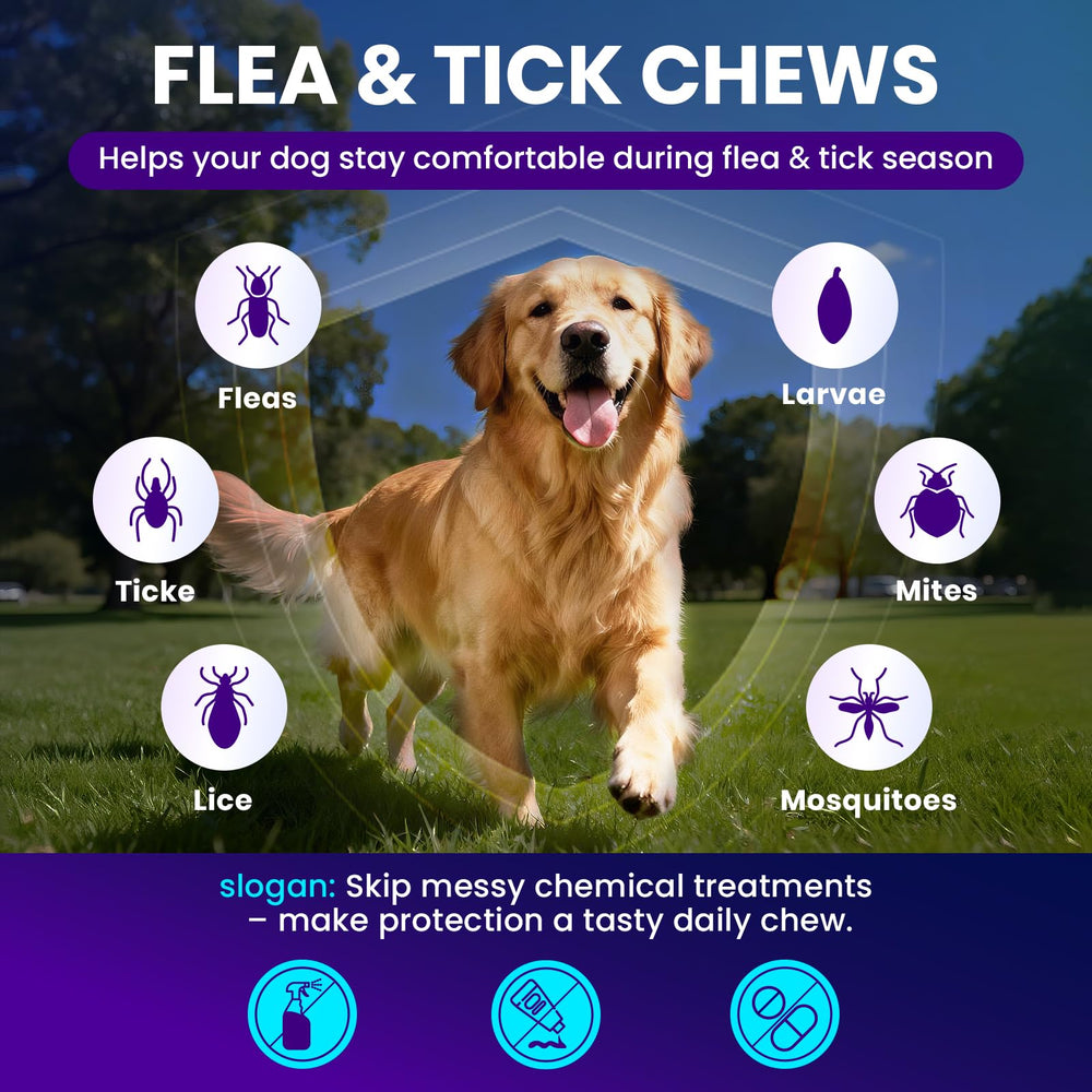 MEGPETS NUTRITION chew dans la main illustrant taille et facilité