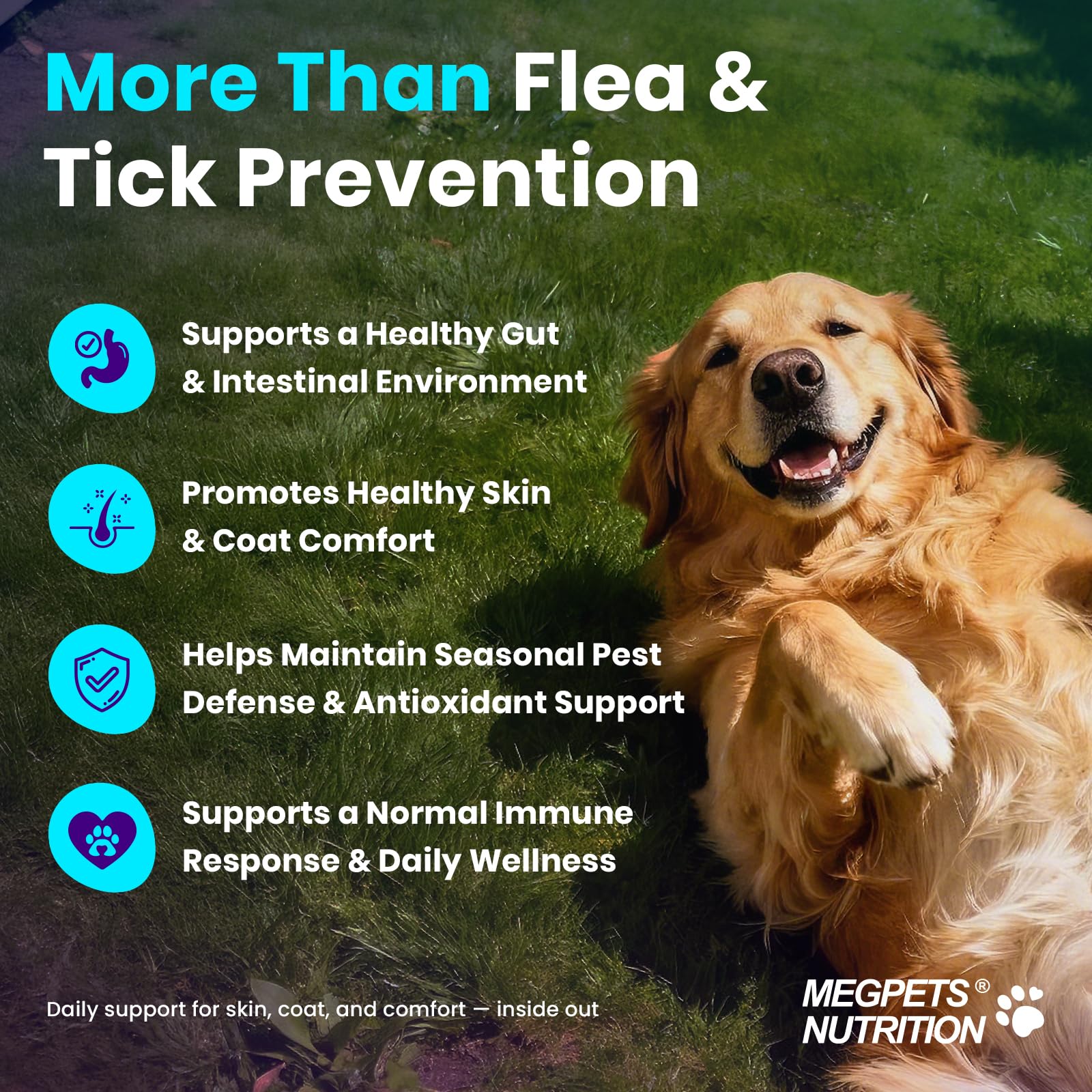 MEGPETS NUTRITION chiens mangeant ensemble montrant acceptation