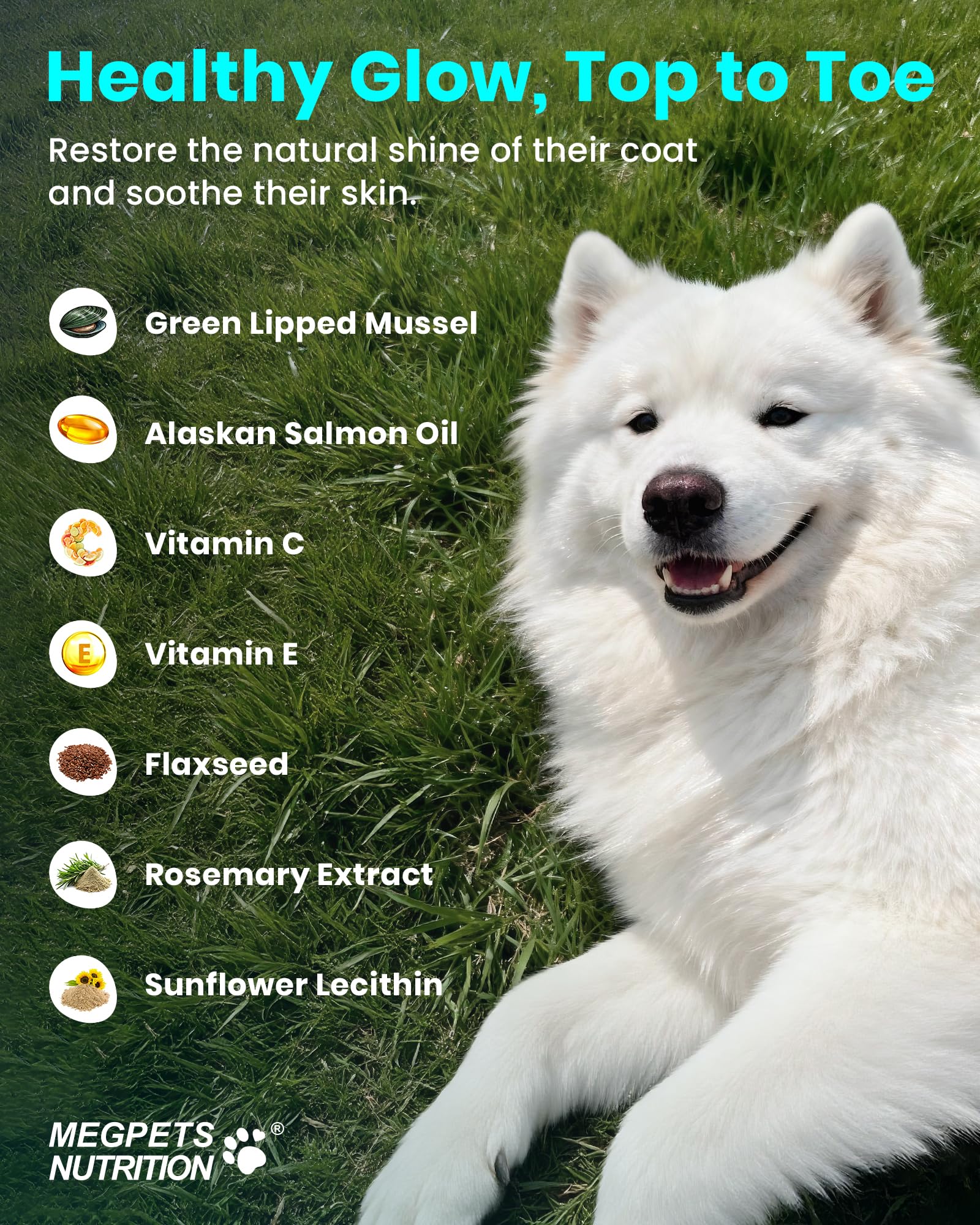 MEGPETS NUTRITION comparaison de taille des bouchées montrant portion facile