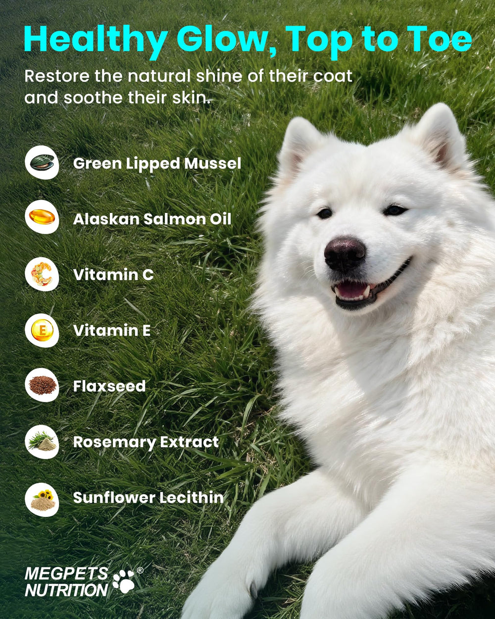 MEGPETS NUTRITION comparaison de taille des bouchées montrant portion facile