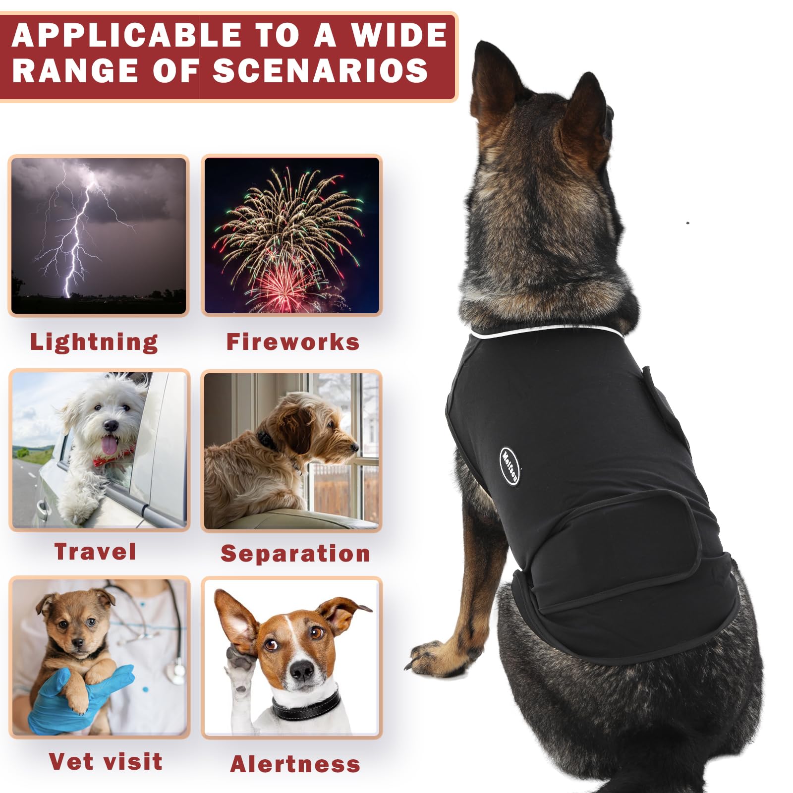 Meifsou chien portant la veste en situation d'orage sensation de sécurité