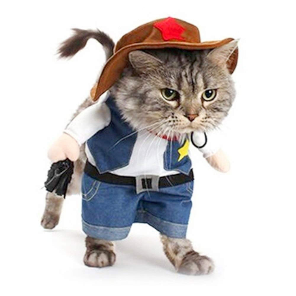 meihejia veste en denim et chapeau face pour photos mignonnes