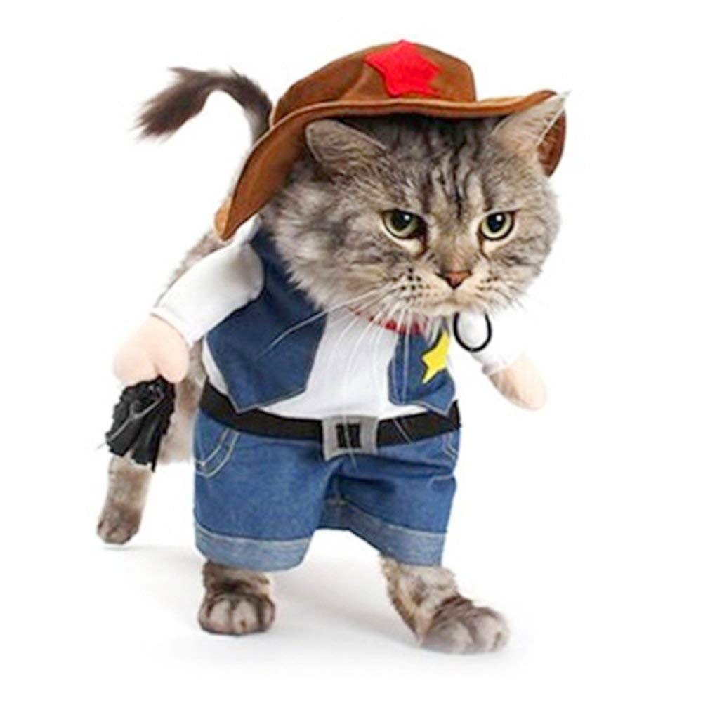 meihejia veste en denim et chapeau face pour photos mignonnes
