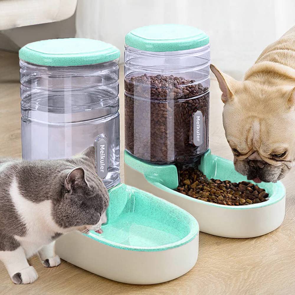 Meikuler chat utilisant l'abreuvoir illustrant accès facile à l'eau