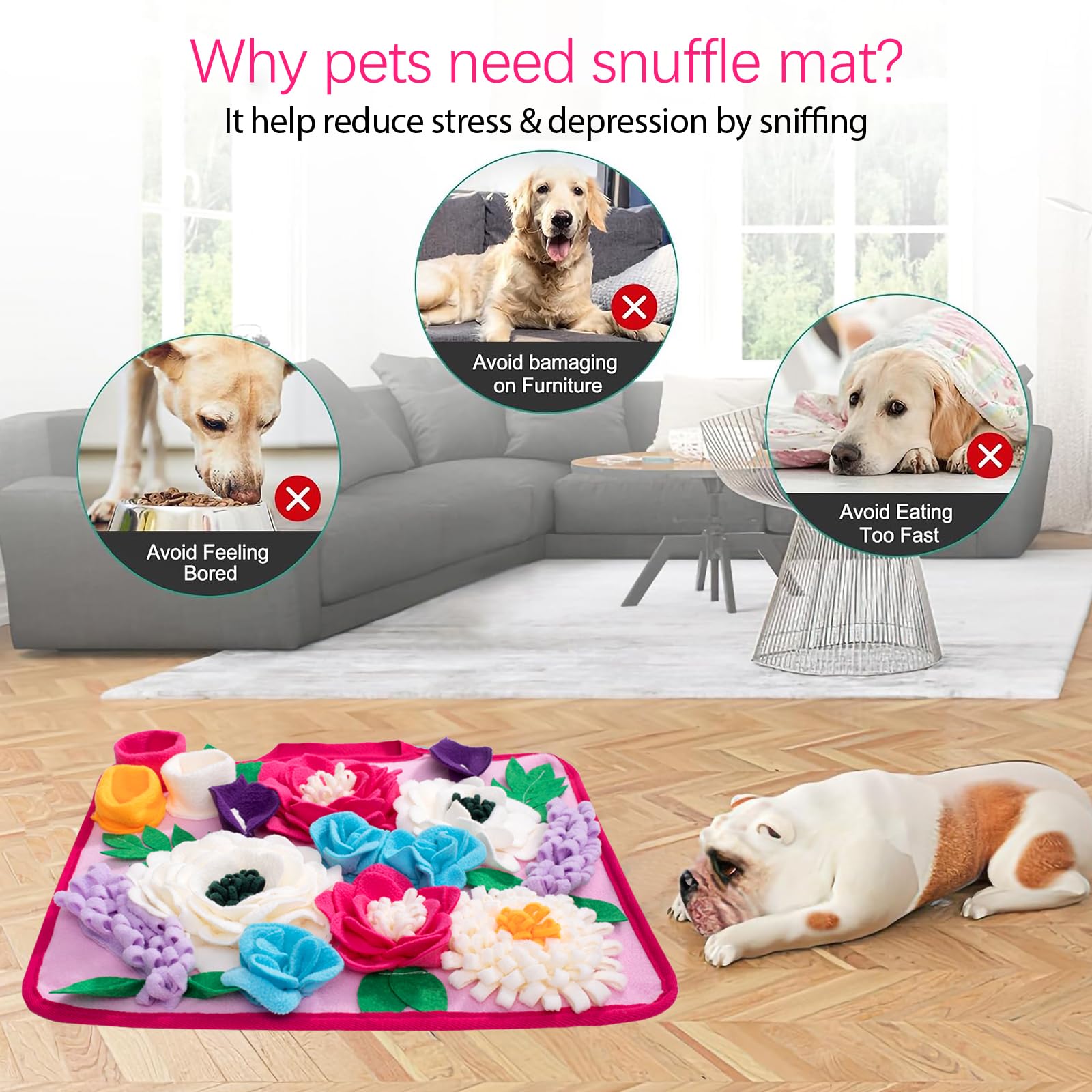 Meilzer chien reniflant tapis favorisant activité mentale et ralenti