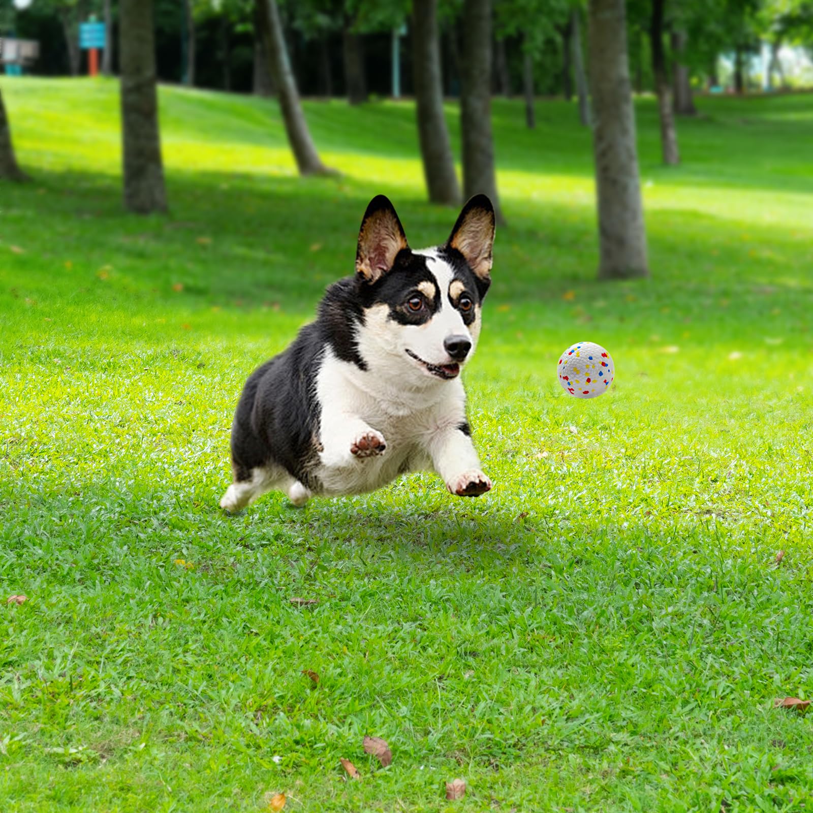 MEKAPLE balle capturée par chien illustrant prise sûre et rebond
