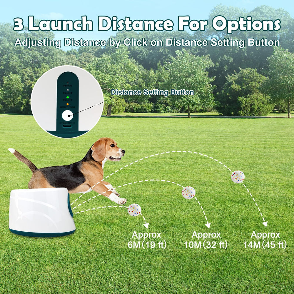 MEKAPLE lanceur en action avec chien récupérant balle, favorise exercice