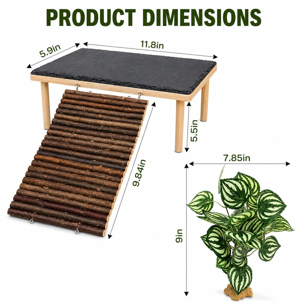 MENGXIAOXI plateforme installée dans terrarium améliorant décor naturel