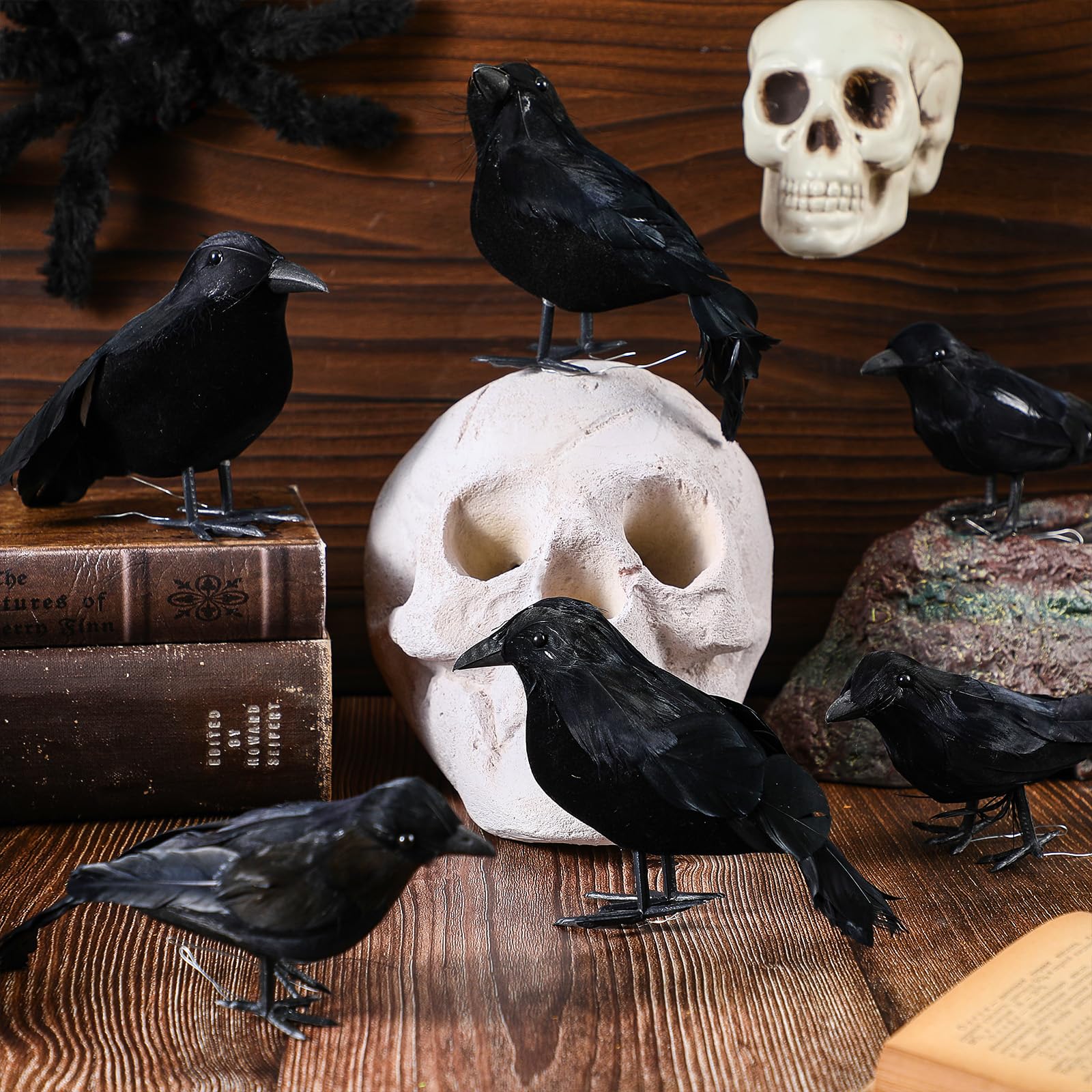 Meooeck corbeaux dans une vitrine décorative démontrant impact visuel et réutilisabilité