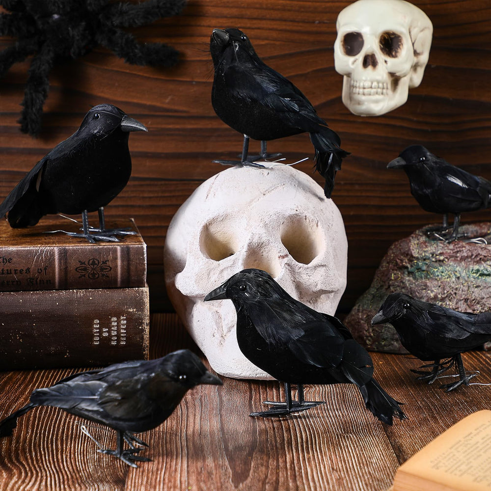 Meooeck corbeaux dans une vitrine décorative démontrant impact visuel et réutilisabilité