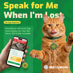 meouwow tige en acier flexible illustrant durabilité et sécurité