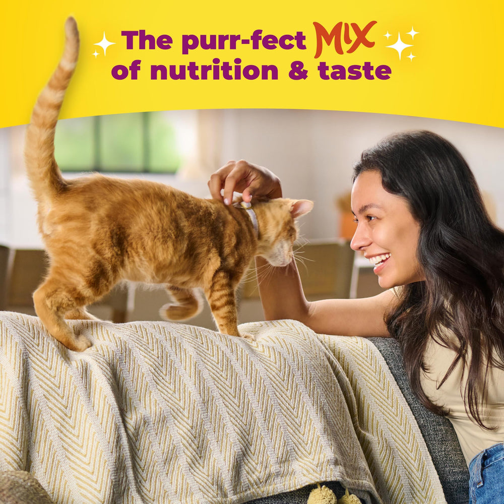 Meow Mix chat mange en intérieur démontrant appétence et confort domestique