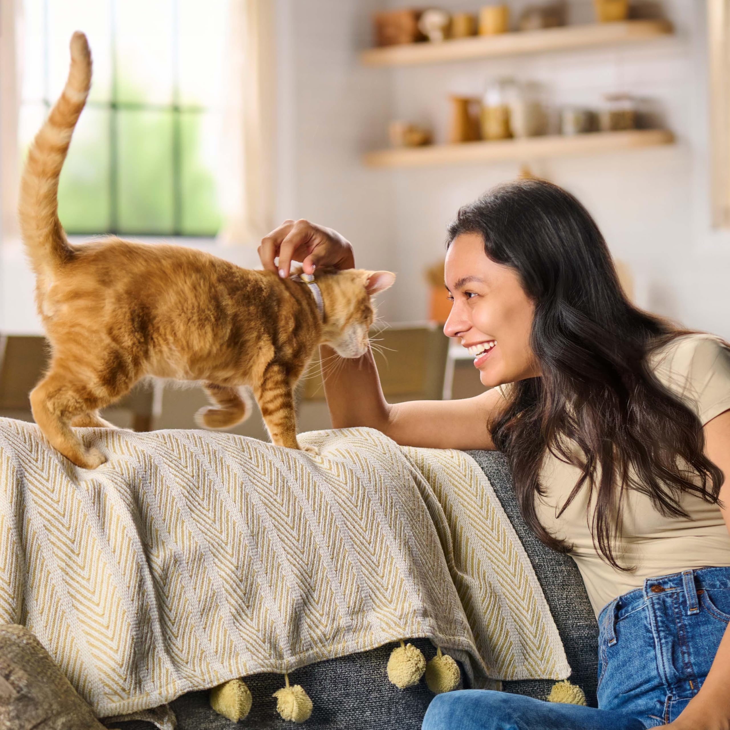 Meow Mix comparaison taille sac 13,5 lb idéale pour foyers nombreux