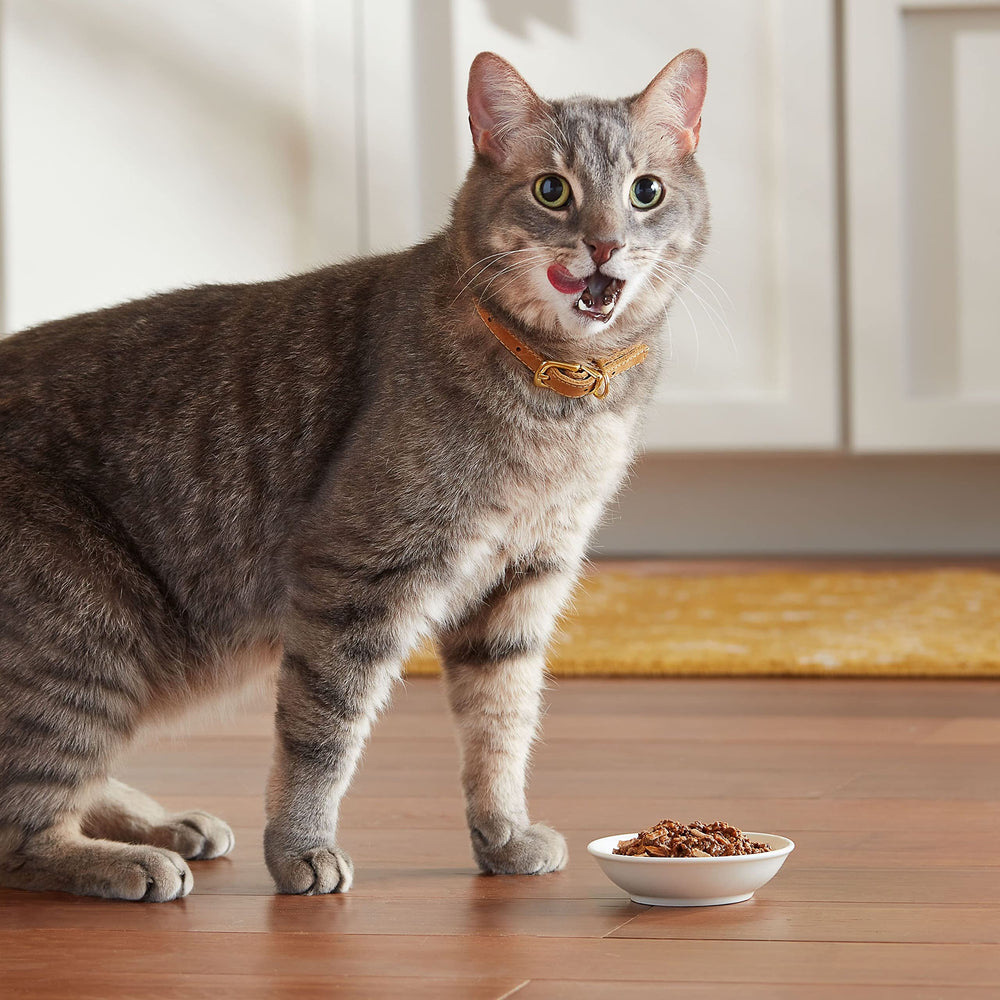 Meow Mix service dans bol prêt à servir pour repas rapide