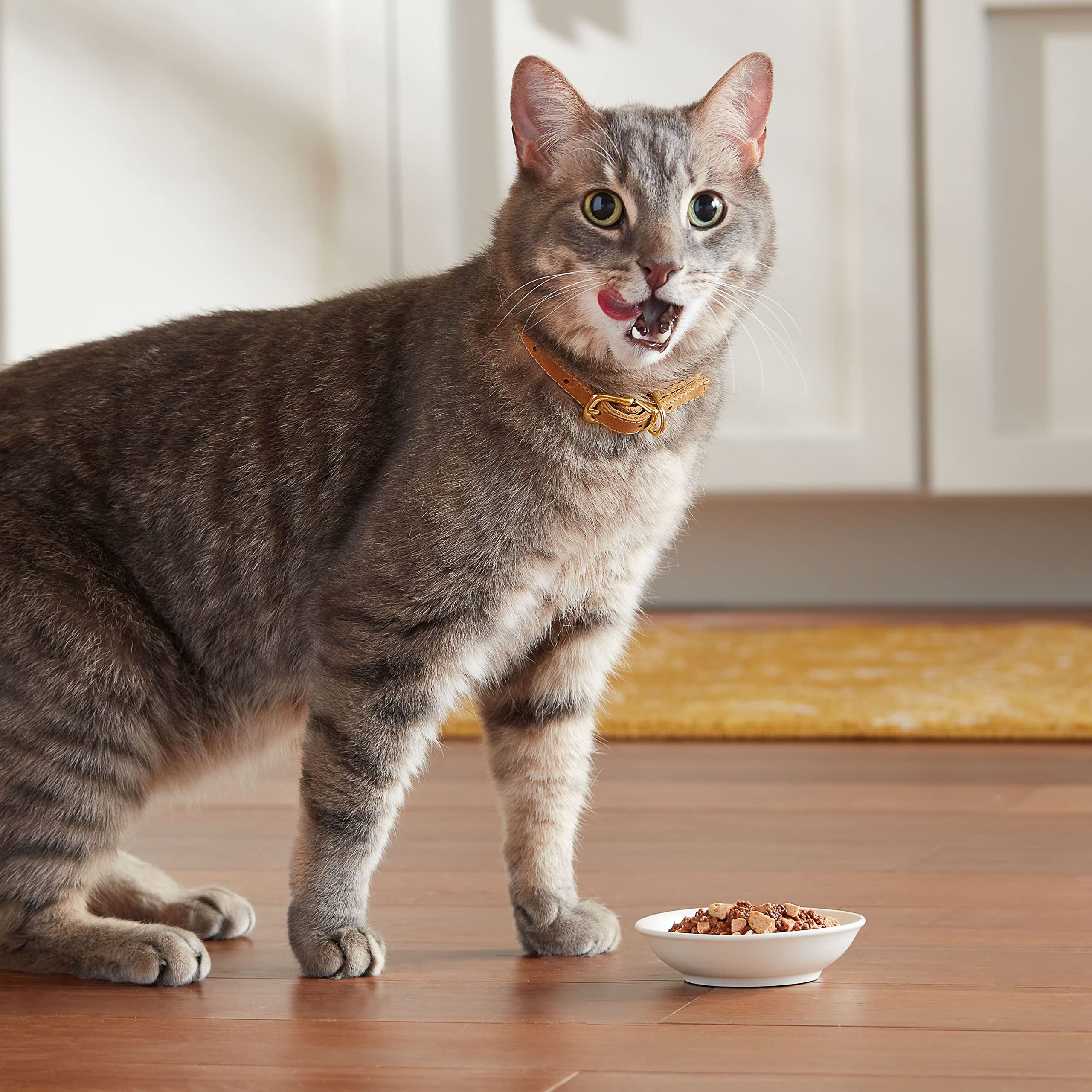 Meow Mix tenders en sauce servis dans une assiette, attractivité gustative