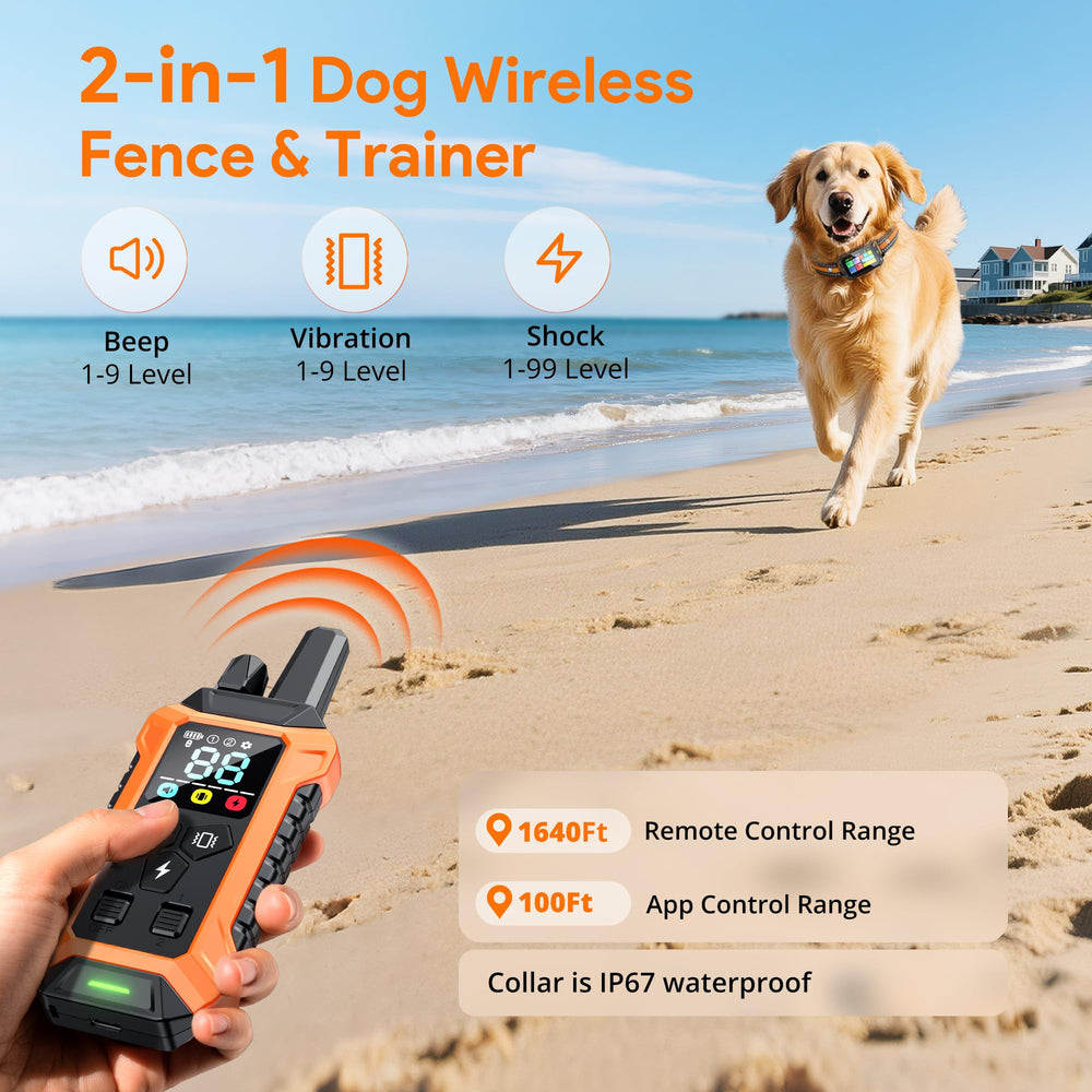 Meowant collier sous pluie illustrant résistance IP67 et durabilité