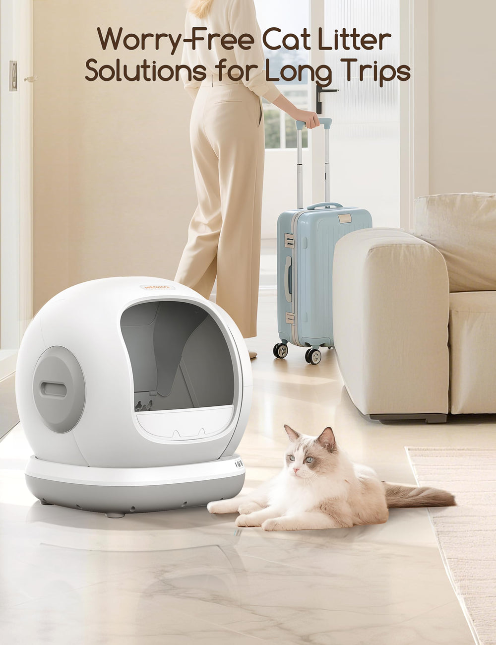 Meowant comparaison taille avec chat grand format pour évaluer l'espace
