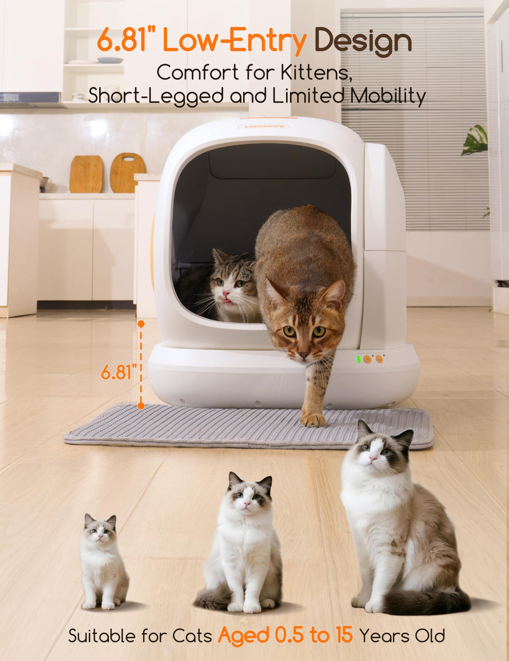 Meowant détail rampe basse facilitant l'accès des chatons et seniors