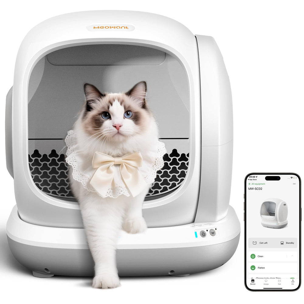 Meowant vue avant montrant grande capacité et confort pour plusieurs chats