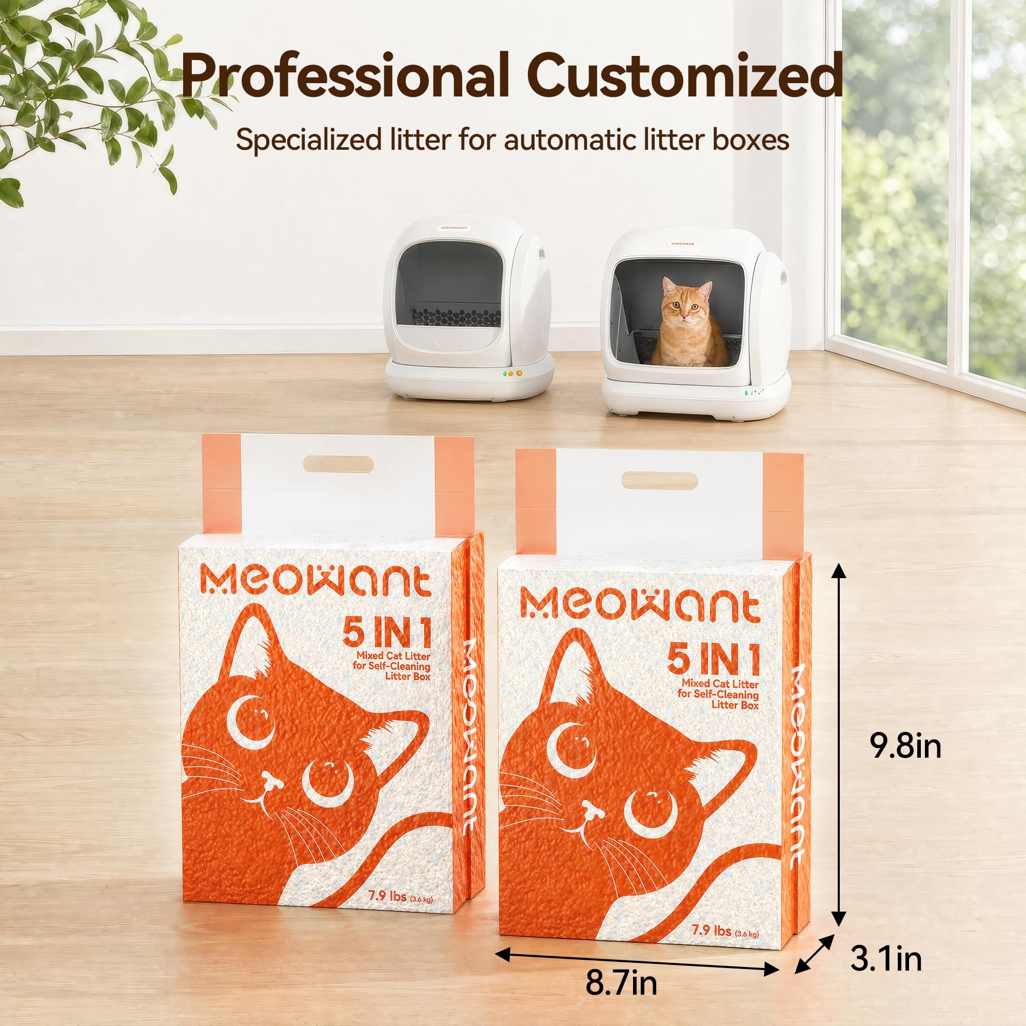 Meowant scènes intérieur montrant litière propre et réduction des odeurs