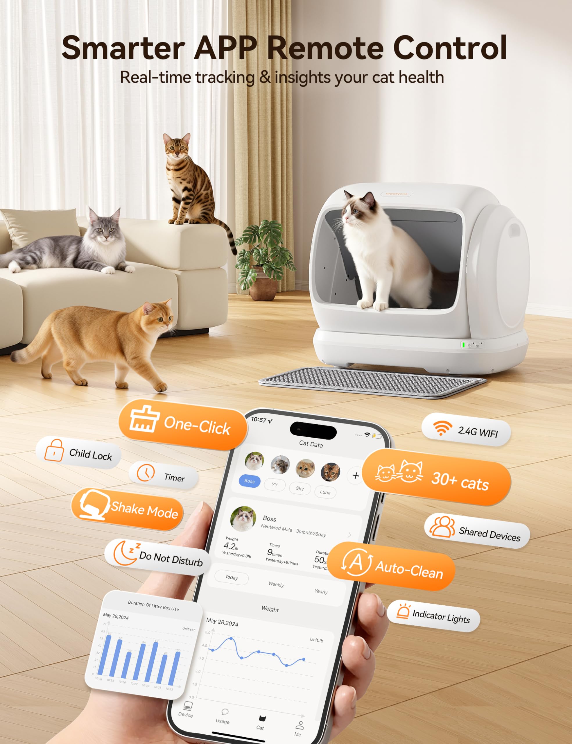 Meowant chat utilisant la litière, confort et accessibilité pour seniors