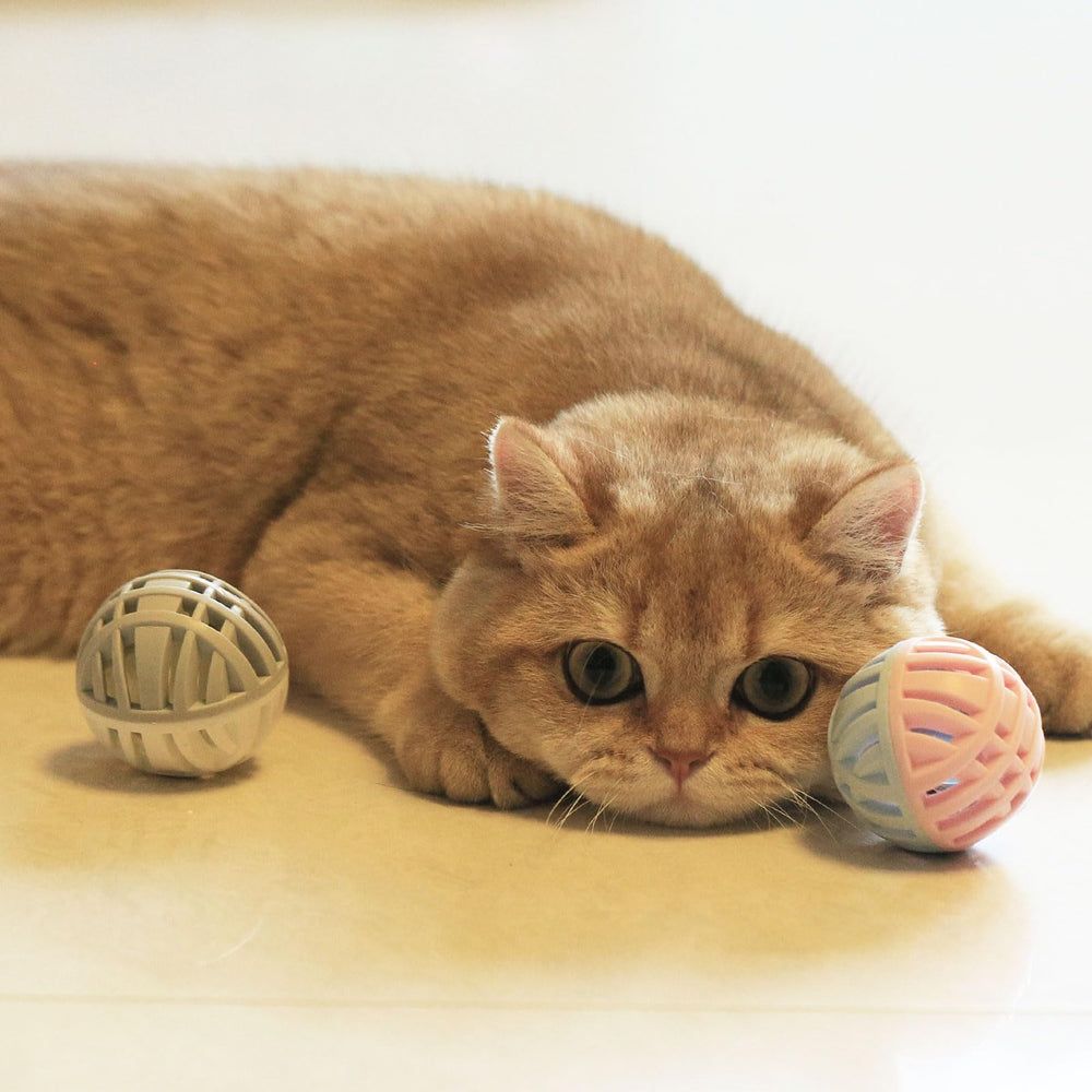 MeowAroma balle rangée dans un sac pour transport facile lors de sorties
