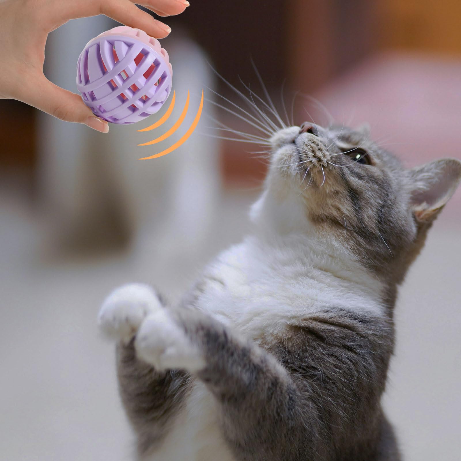 MeowAroma comparaison avec une main montrant diamètre 1,9 pouces pratique