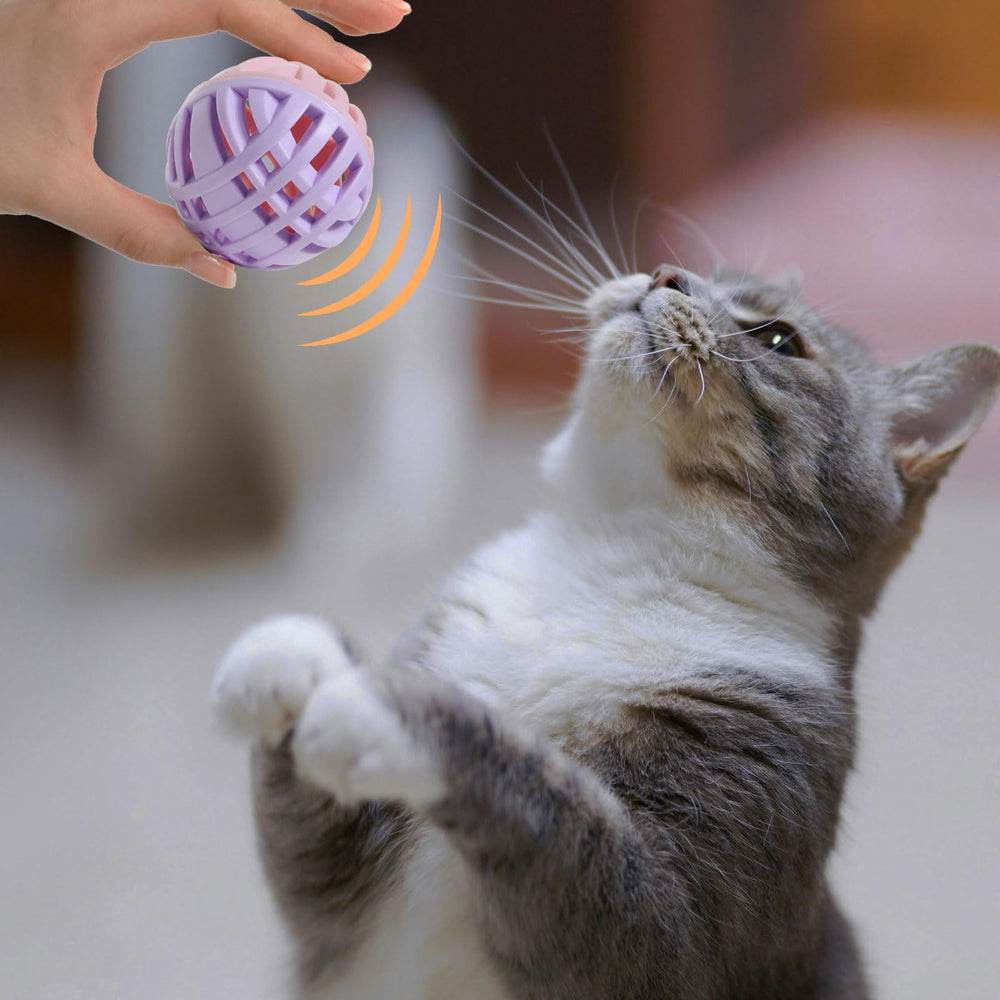 MeowAroma comparaison avec une main montrant diamètre 1,9 pouces pratique