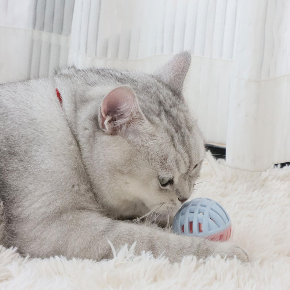 MeowAroma détail de la surface creuse permettant broyage des dents en jeu