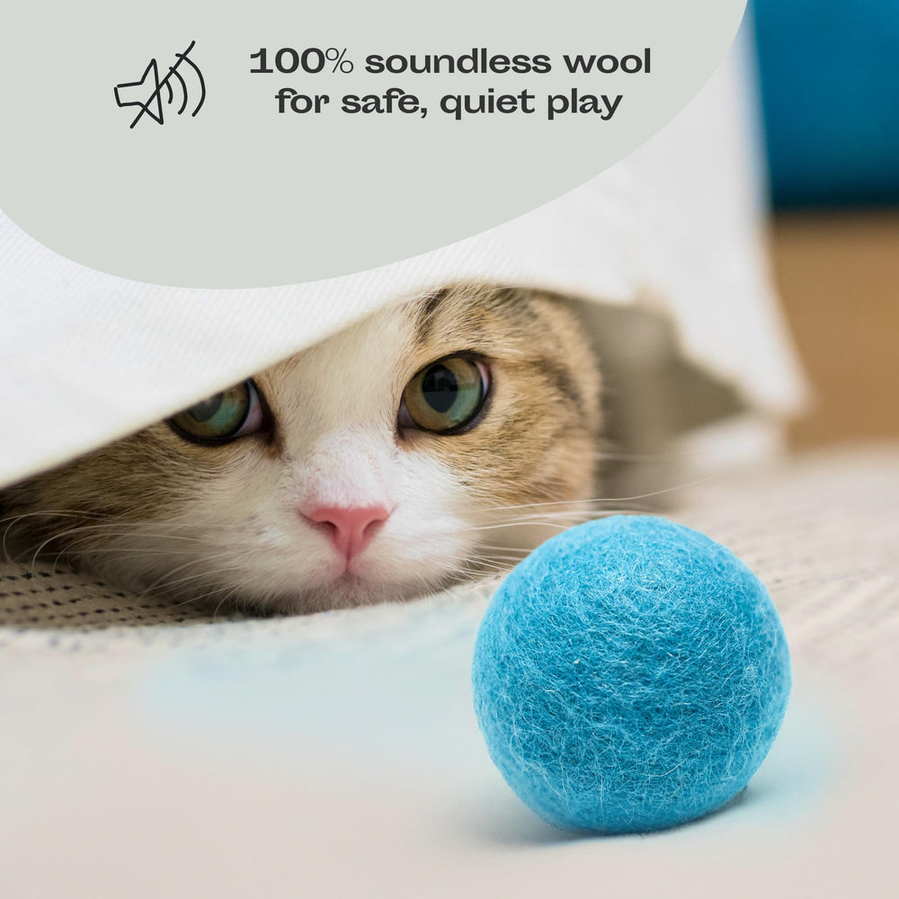 MEOWFIA assortiment aquamarine couleurs vives pour attrait visuel