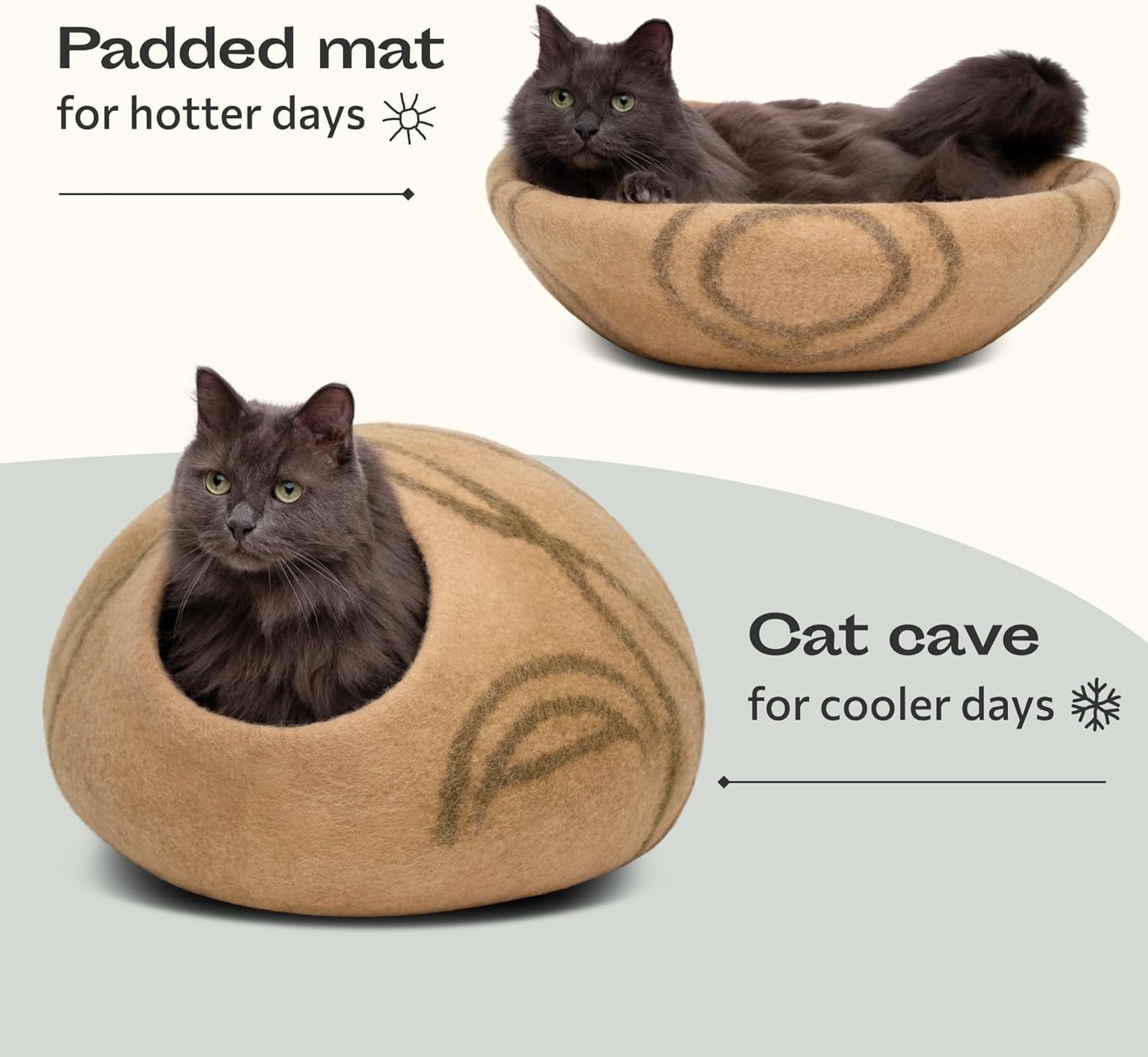 MEOWFIA chat installé dans la grotte, calme et sentiment de sécurité