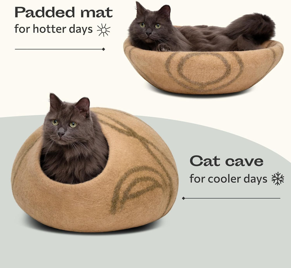 MEOWFIA chat installé dans la grotte, calme et sentiment de sécurité
