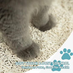 Meowgic Paws gros plan sur granulés 2 mm offrant toucher doux aux pattes